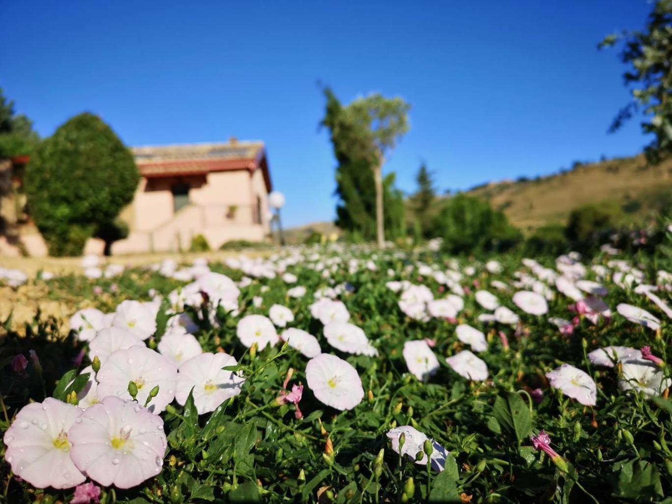 Panorama Bed & Breakfast