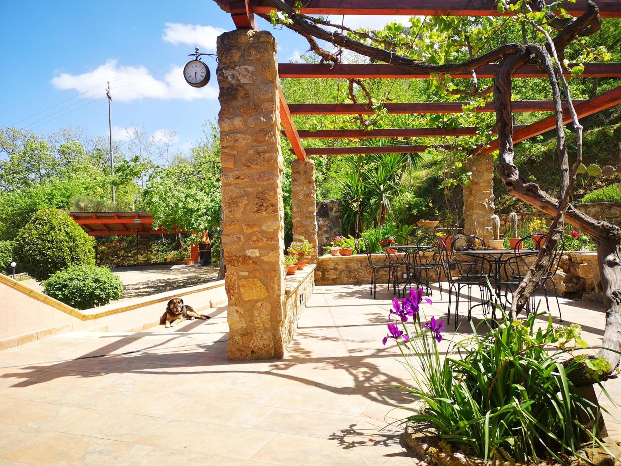 Bed & Breakfast Panorama *