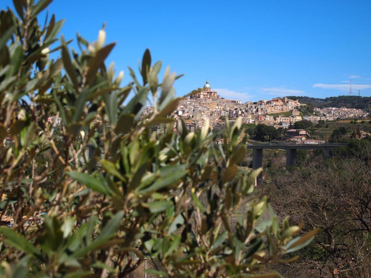 Panorama *