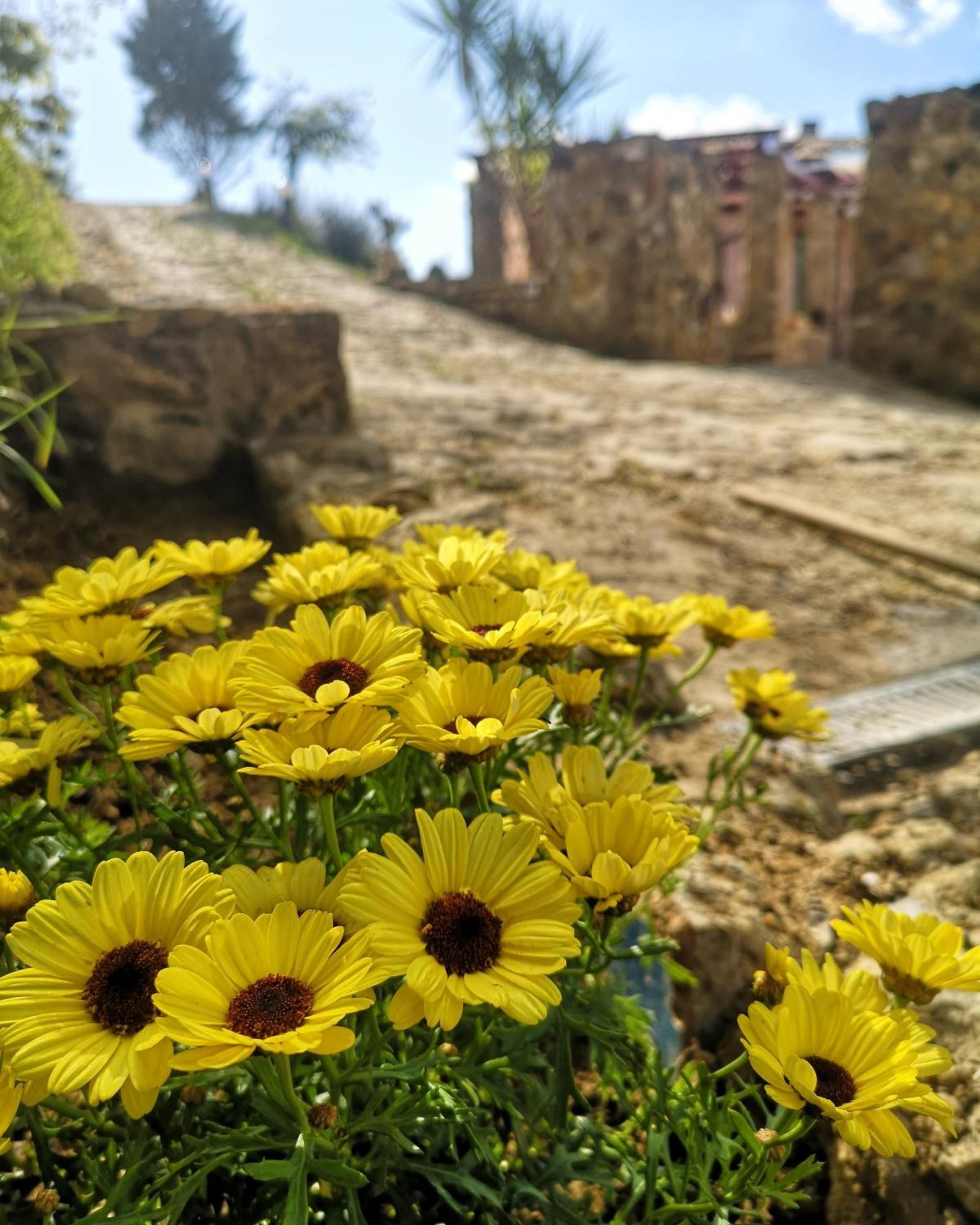 Panorama *
