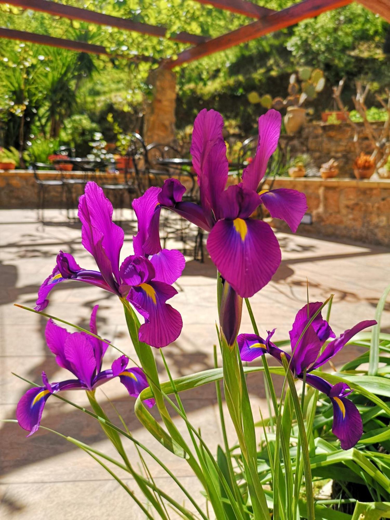 Panorama Bed and breakfast Piazza Armerina