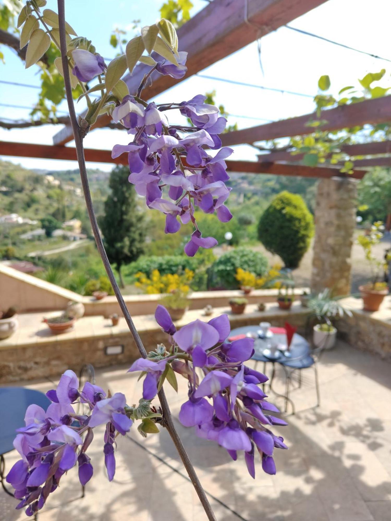 Panorama Bed and breakfast *